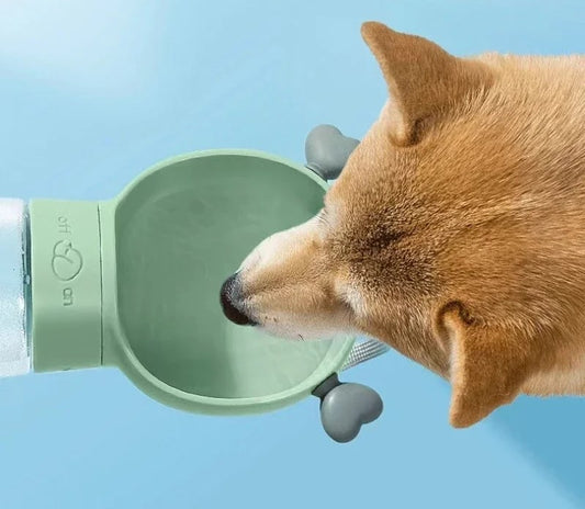 gourde portable pour chiens